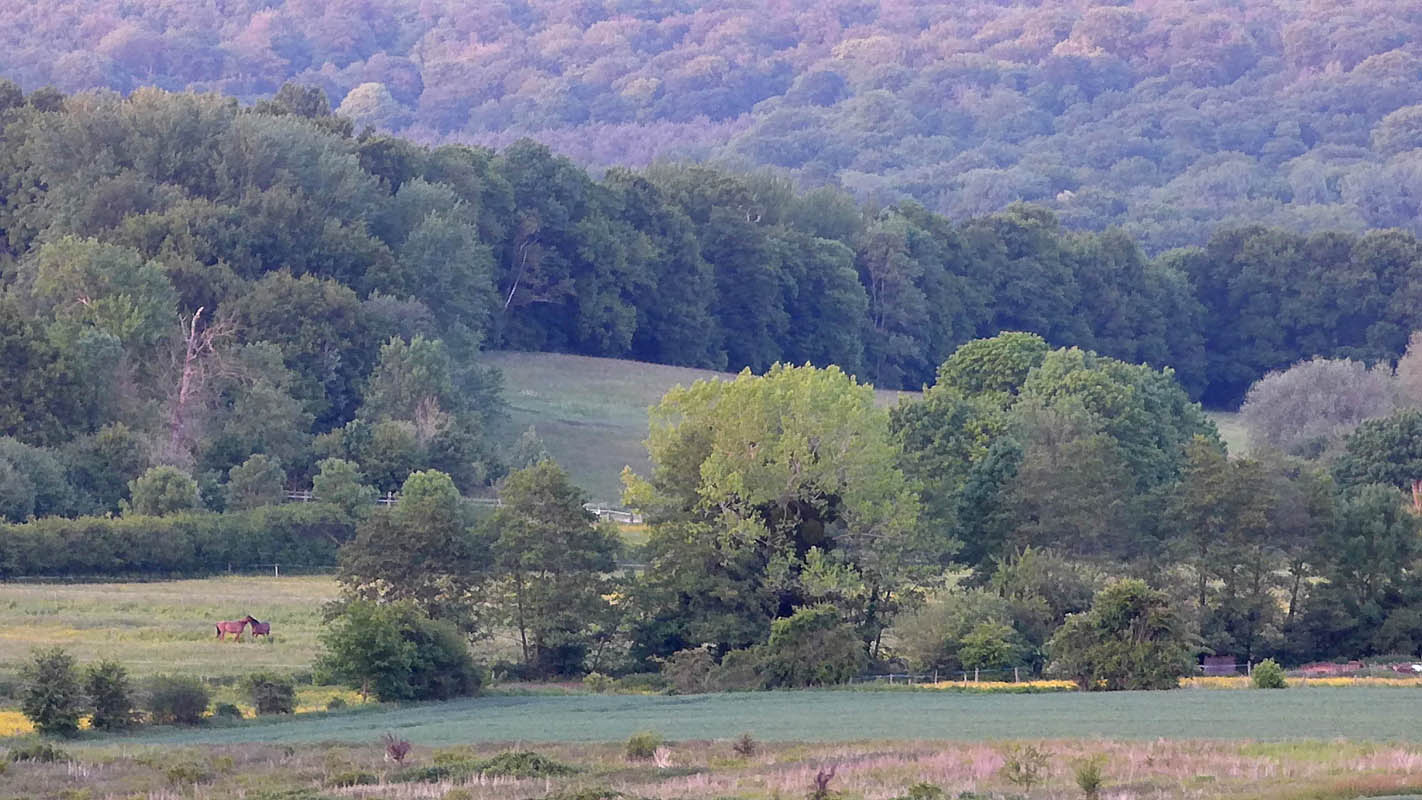 Vallée de l'Ysieux (novembre 2015)